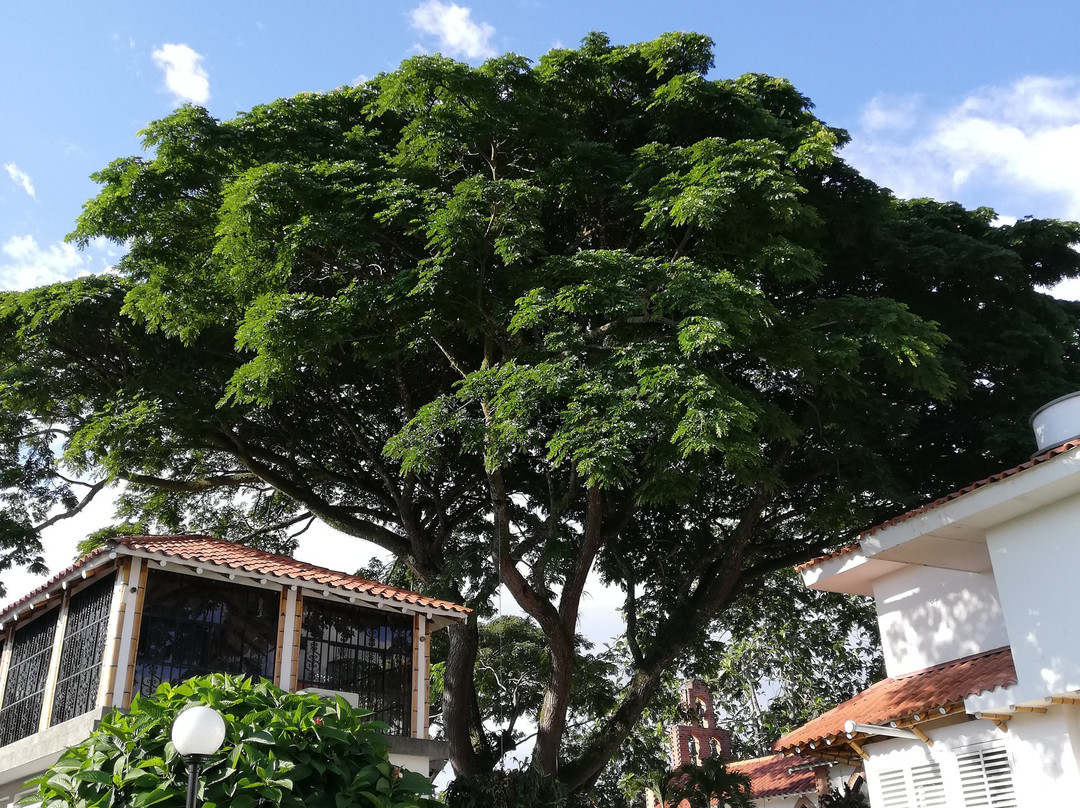 Las Camelias Hotel Campestre主图