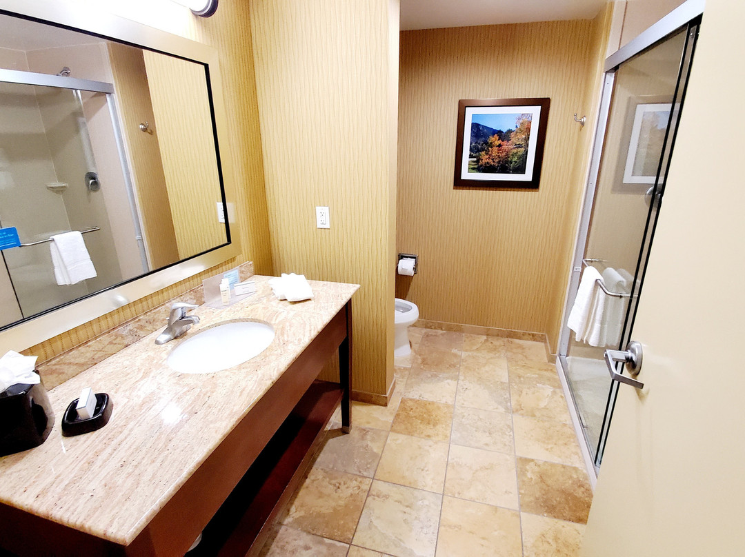 Hampton Inn & Suites Denver/South-RidgeGate主图