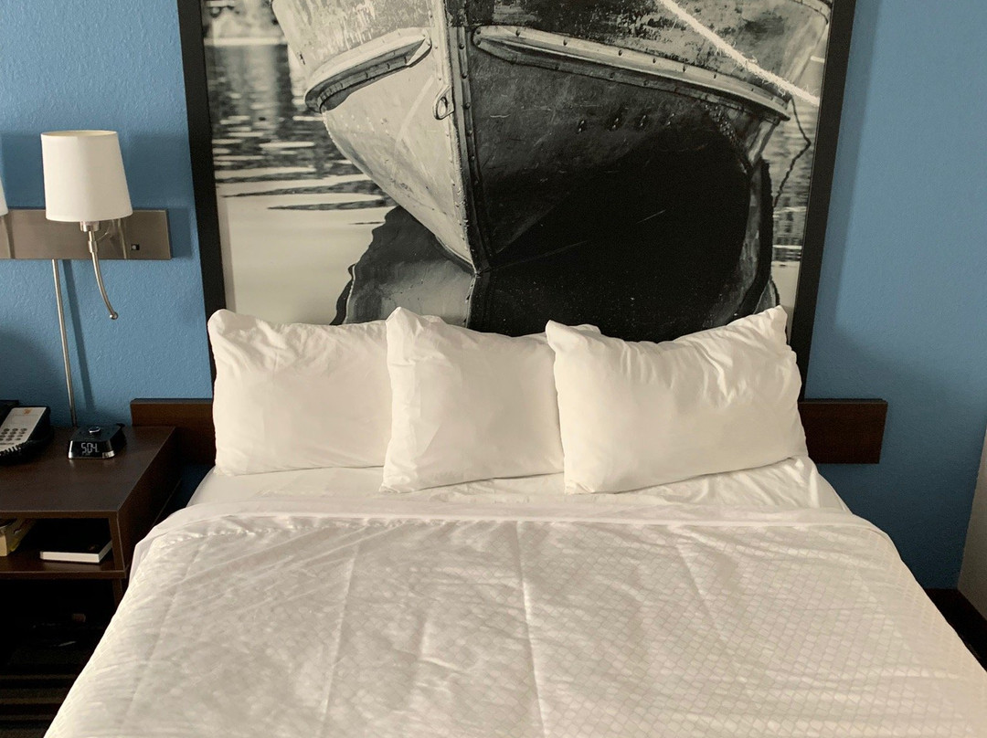 Super 8 by Wyndham Fort Frances主图