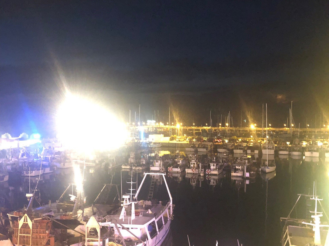 Porto Turistico Marina di Cattolica景点图片