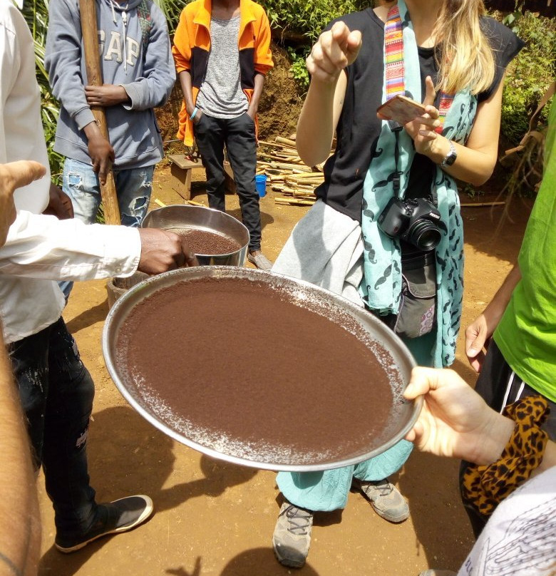 Coffee Tour - Day Tours-托伯莫里必去景点