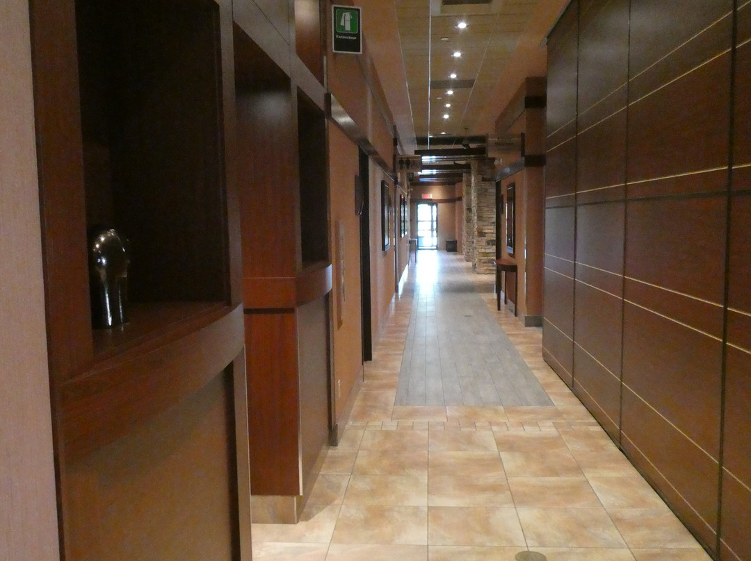 Quality Inn & Suites Levis主图