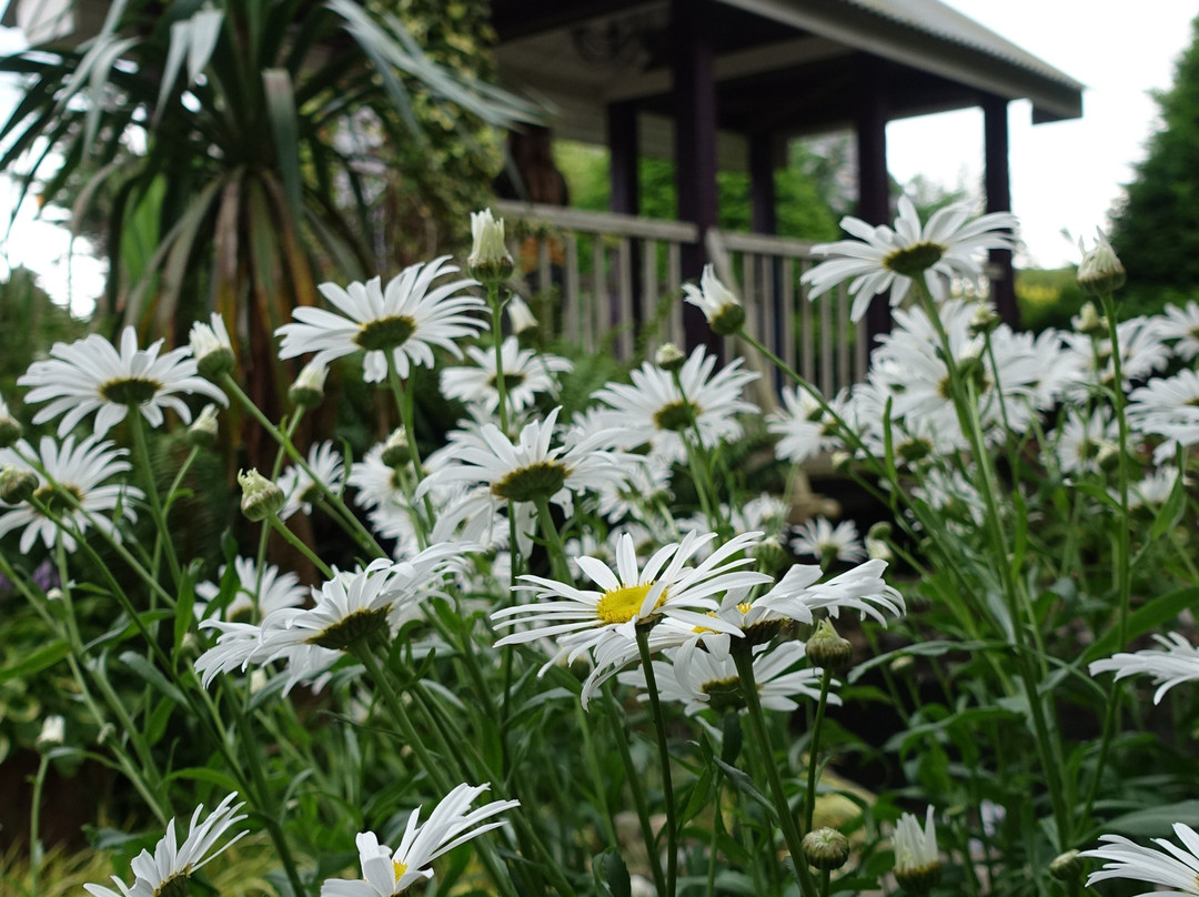 Cahernorry Church & Gardens-Ballyneety必去景点