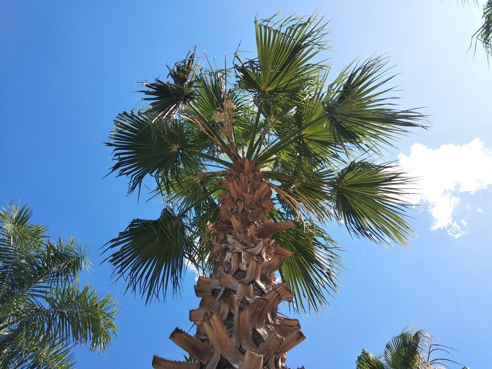 Piscine Karibu-那不勒斯必去景点