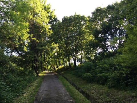 Galician Castle-Halych必去景点