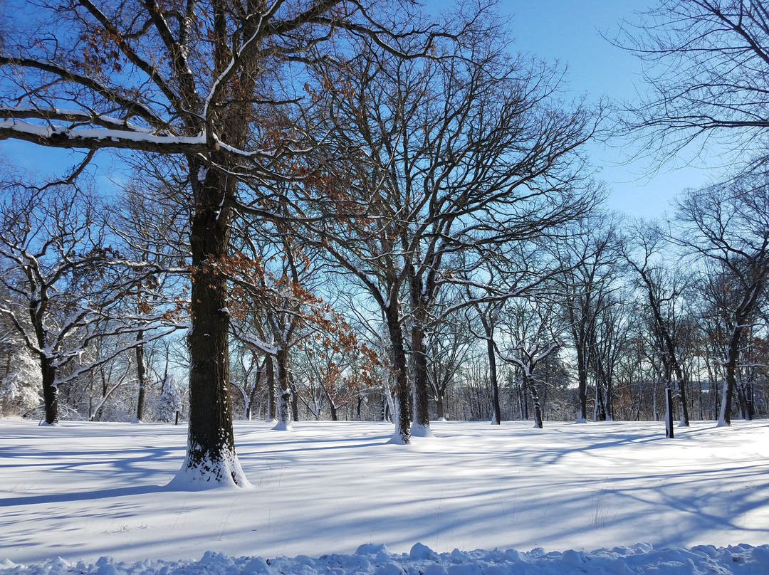 St. Croix Bluffs Regional Park景点图片