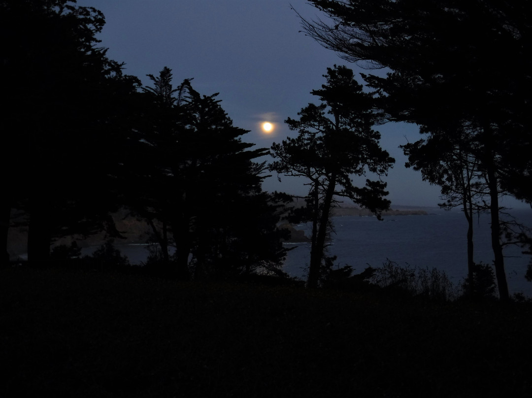 Whale Watch Inn By The Sea主图