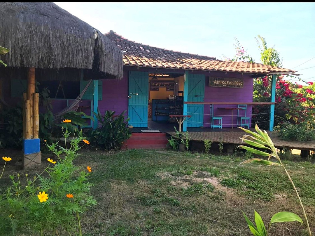 Folha Santa - Produtos Naturais-巴西利亚必去景点