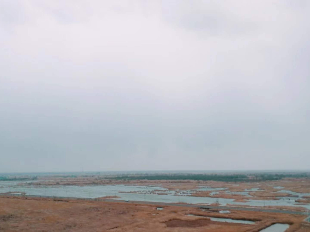 黄河入海口景点图片