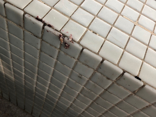 Doncaster Dome-唐克斯特必去景点