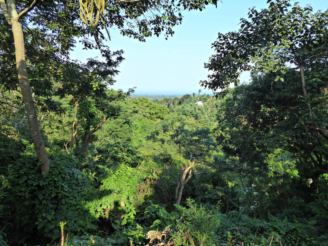 Songota Falls Lodge主图