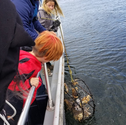 Yaquina Bay Charters-纽波特必去景点