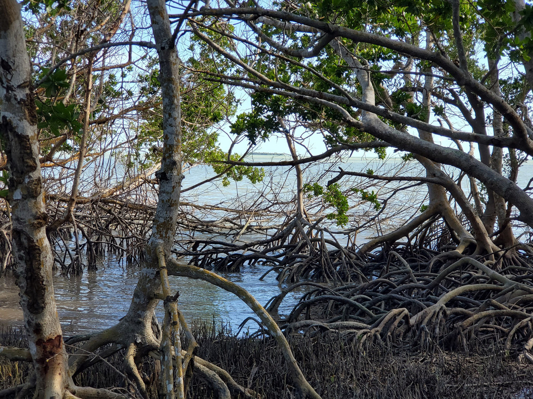 Coastal Prairie Trail-大沼泽国家公园必去景点