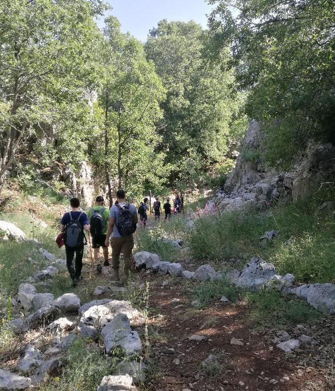 Jabal Moussa Biosphere Reserve景点图片