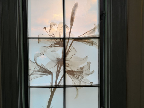 Birkeland旅游攻略图片