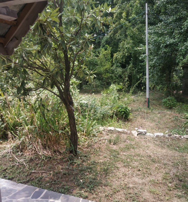 Country Cottage - a Tea Garden Resort