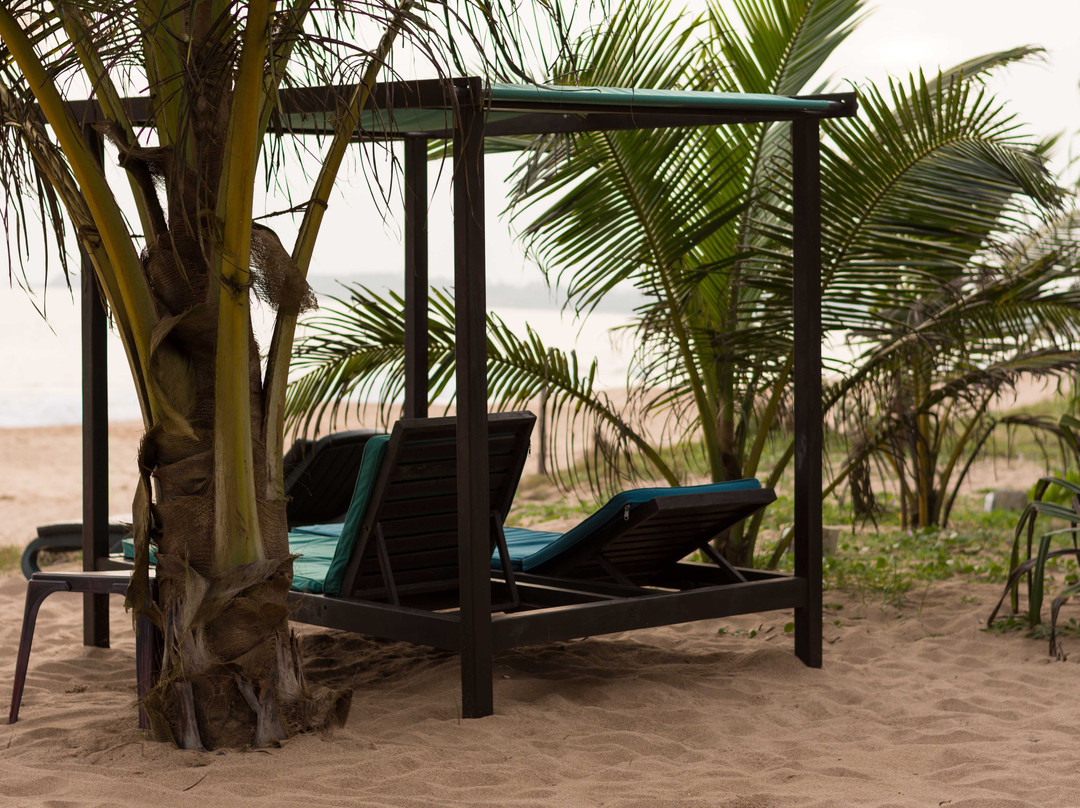 Seven Turtles Resort主图