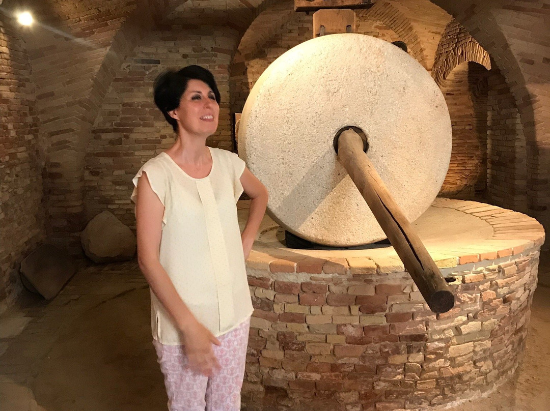 Museo dell’Olio di Cantinarte景点图片