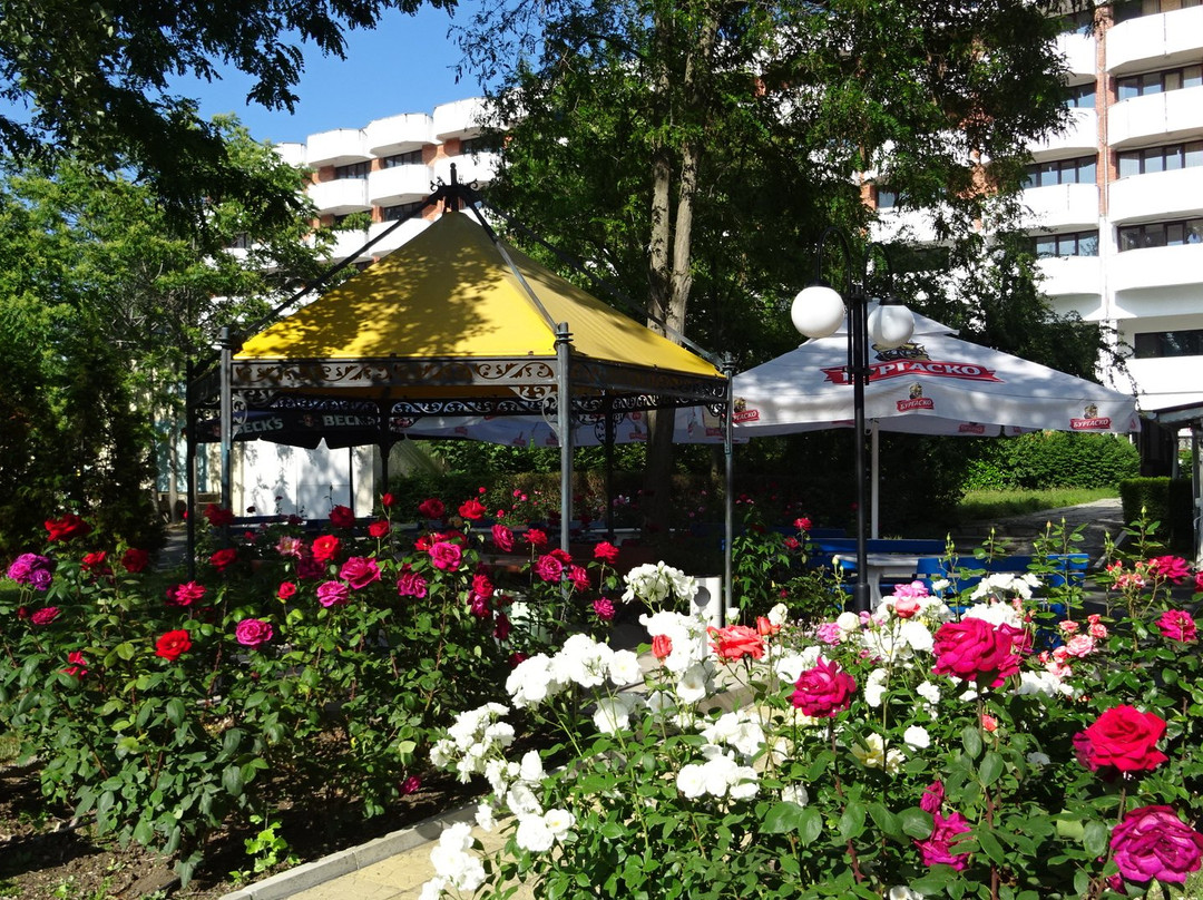 Trakia Garden Hotel主图