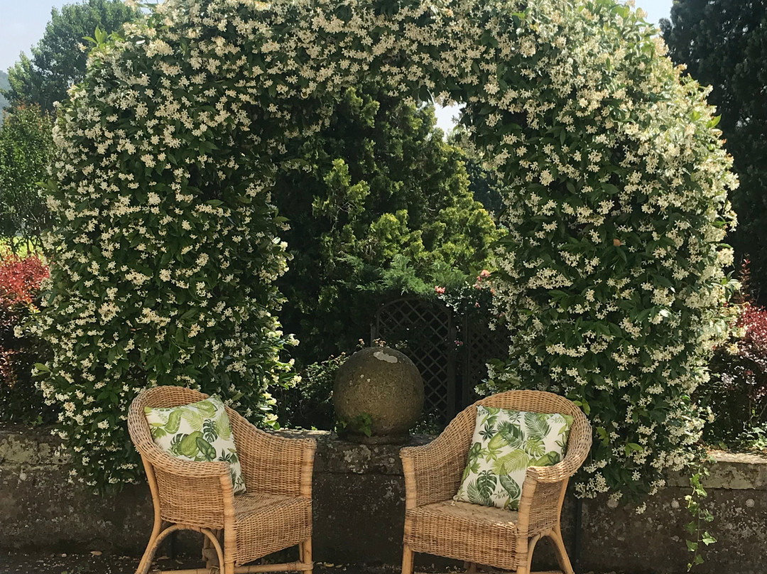 Villa Pollini-Luvigliano必去景点