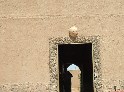 Riad Desert Camel主图