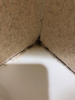 底特律-特洛伊/奥本山希尔顿合博套房酒店-浴室