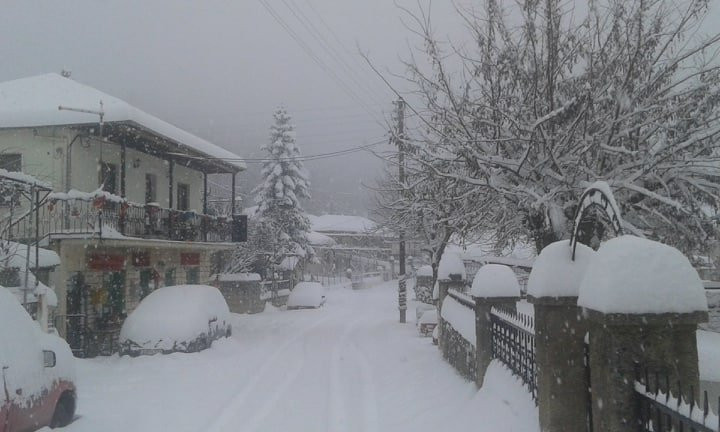 Marilou's Chani主图