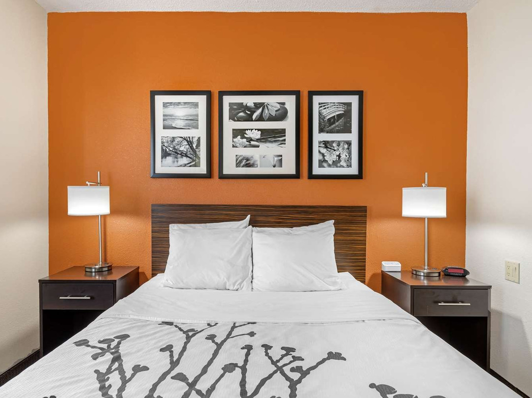 Sleep Inn - Lansing North / Dewitt主图