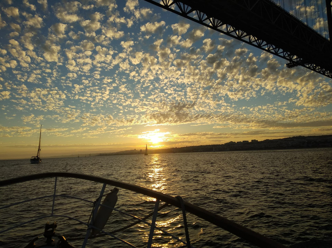 Lusitano Boat Tours景点图片