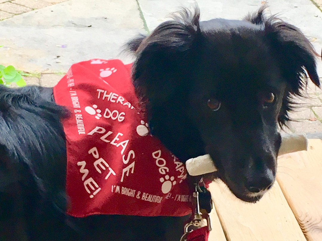 Captain Bell House Bed & Breakfast主图