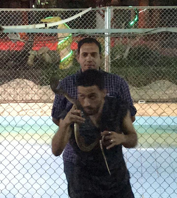 Crocodile Show-沙姆沙伊赫必去景点