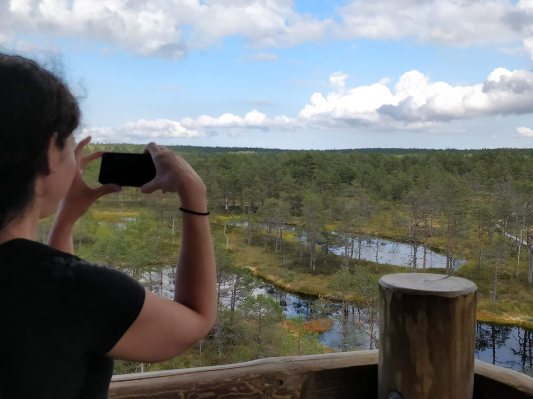 Private Tours in Estonia景点图片