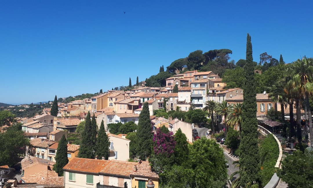 Marché sur Bormes les Mimosas