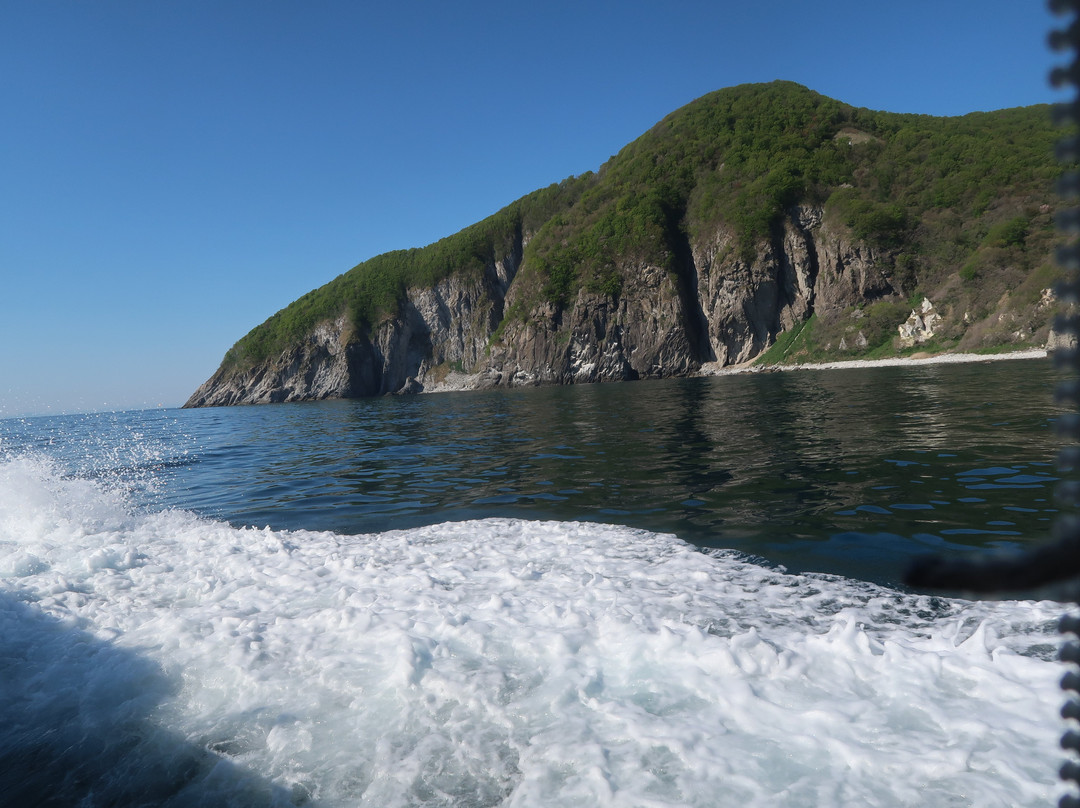 Sai-Hotokegaura Sightseeing Boat景点图片