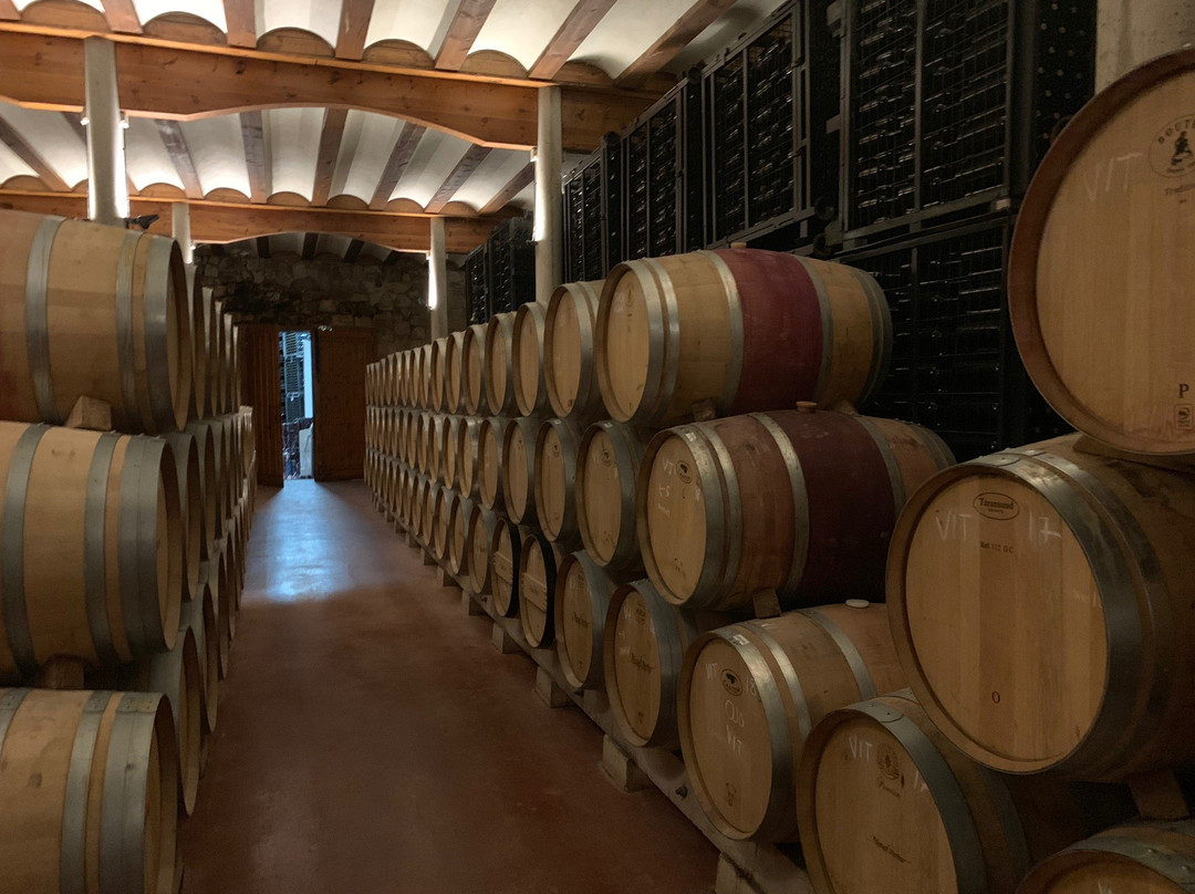 Miguel Merino Winery景点图片
