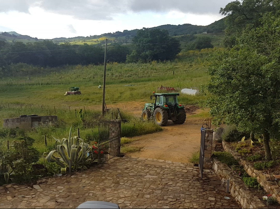 Agriturismo San Pietro主图