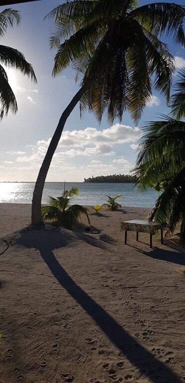 Pension Coconut Beach, Tikehau-官方