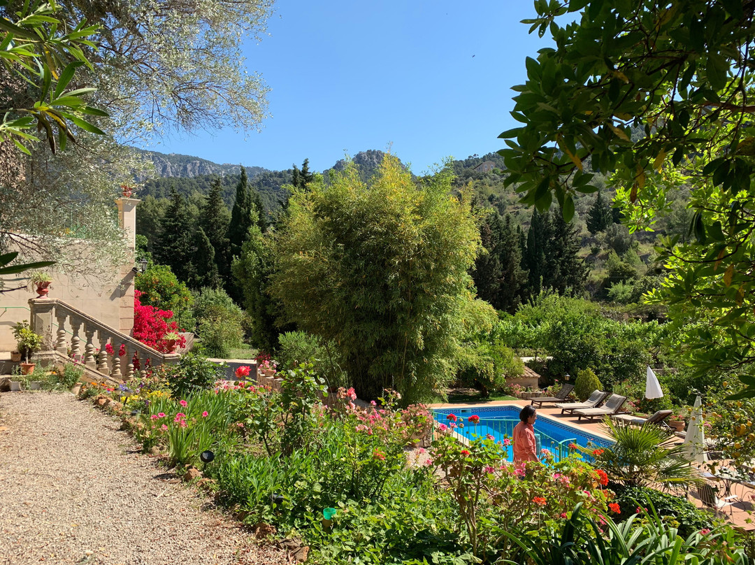 Agroturisme Finca Sa Maniga主图