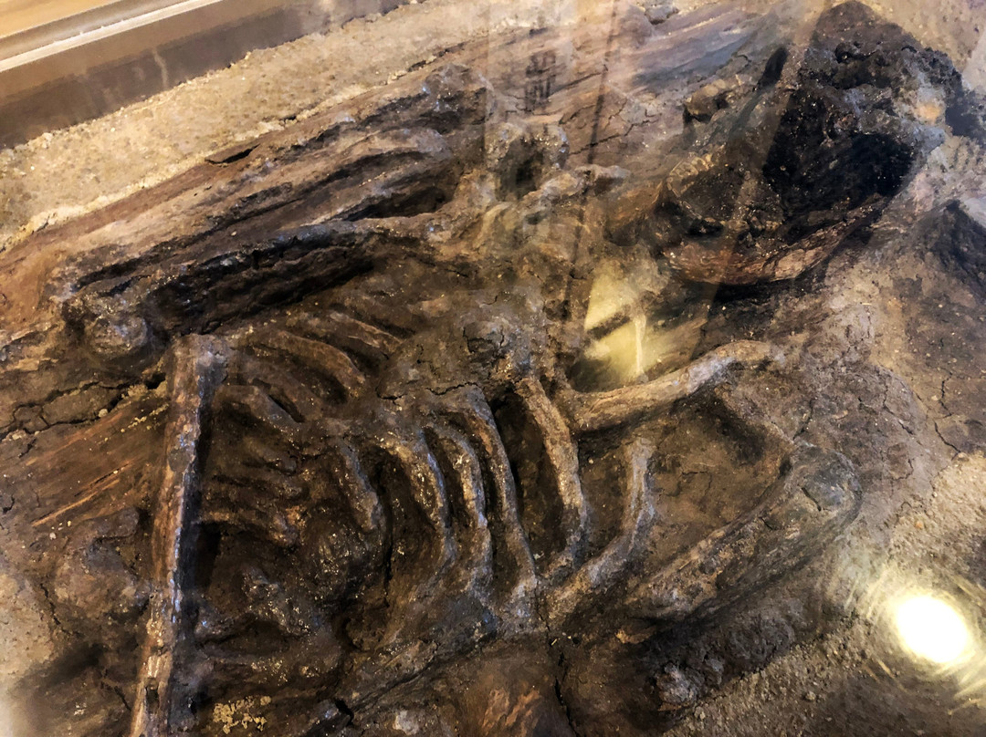 Shijonawate City Museum of History and Folklore-四条畷市必去景点