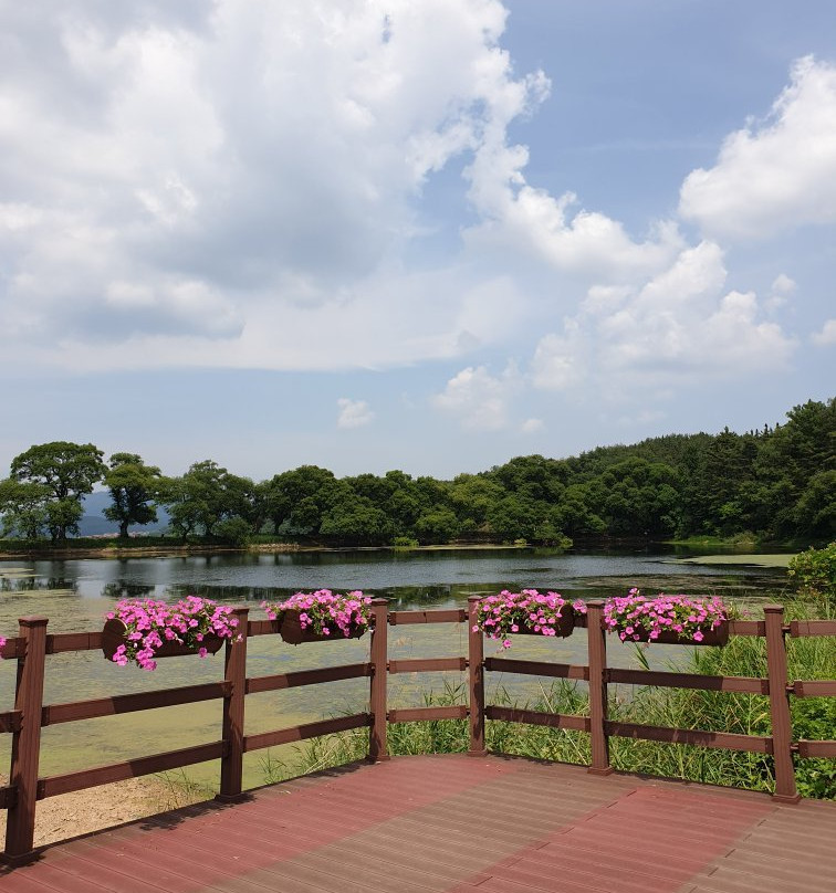 Bangokji Reservoir-庆山市必去景点
