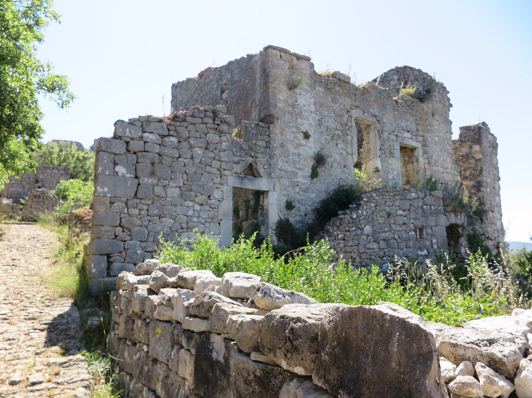 Château d'Allegre景点图片