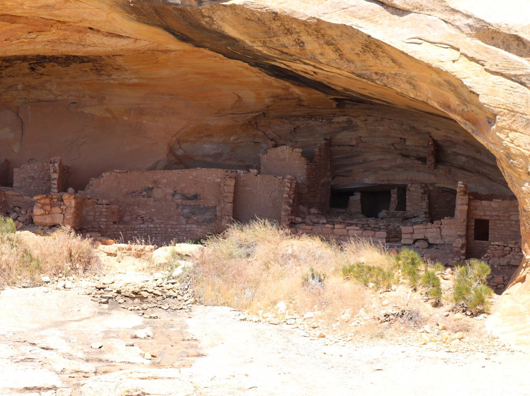 Butler Wash Archeological Ruin-布兰丁必去景点