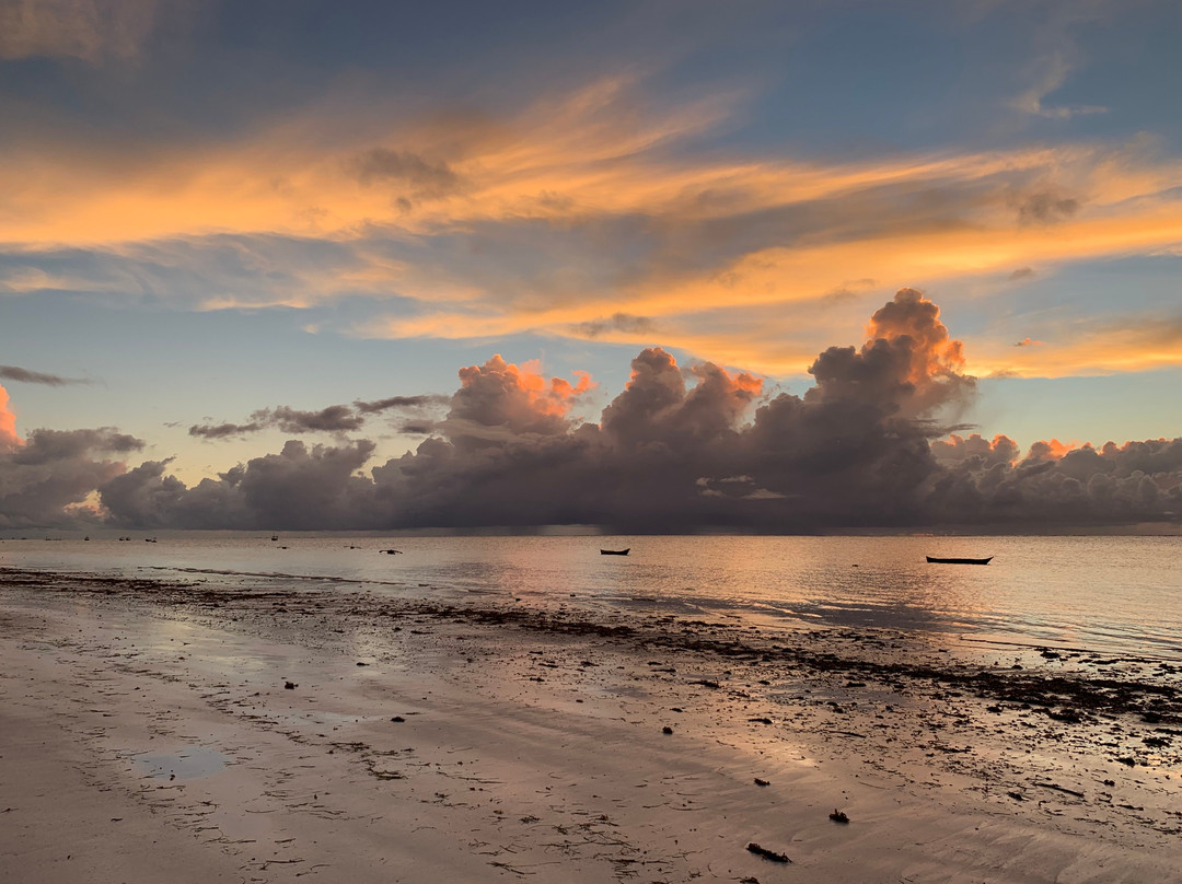 Diani Beach Club主图