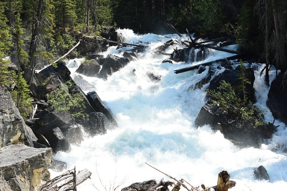 Kicking Horse River-戈尔登必去景点