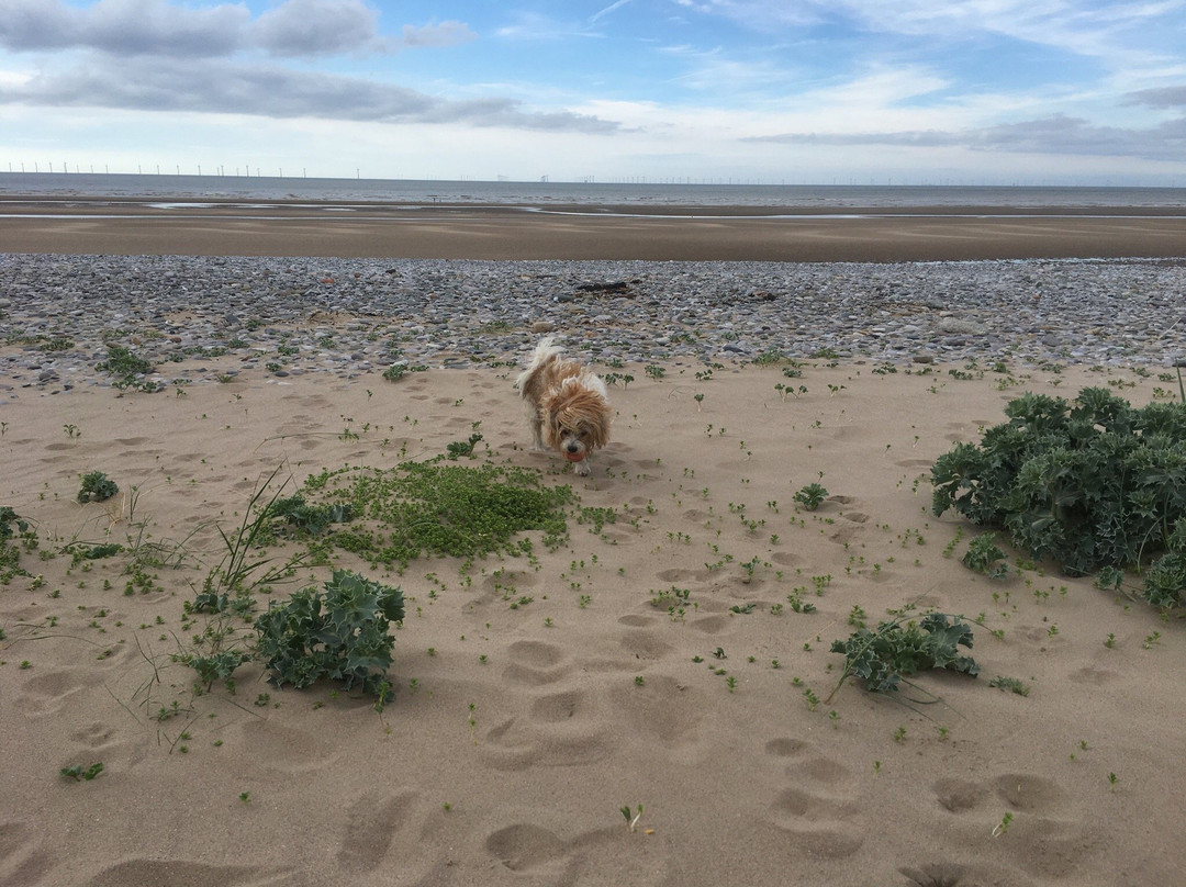 Kinmel Bay Beach景点图片