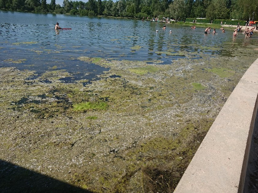 Lac de Vesoul-Vaivre-Vesoul必去景点