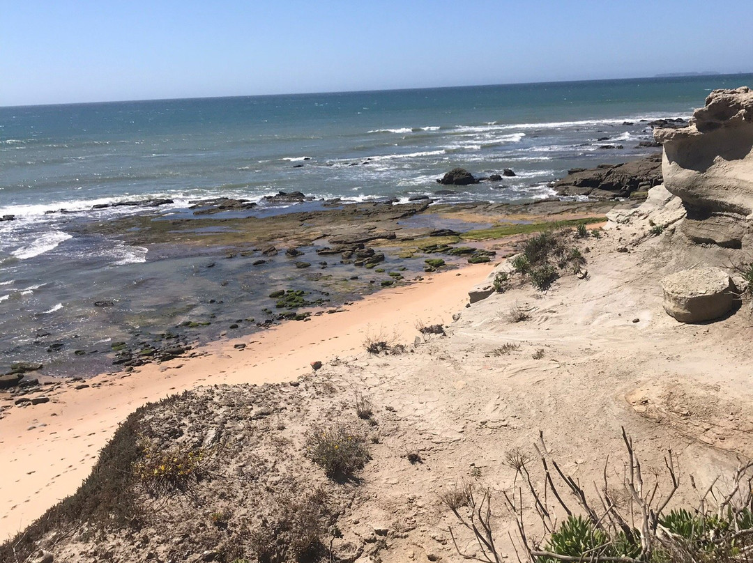 Jurassic Locals景点图片