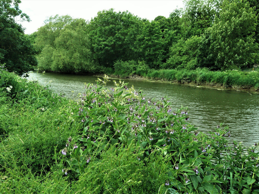 Stodmarsh National Nature Reserve景点图片
