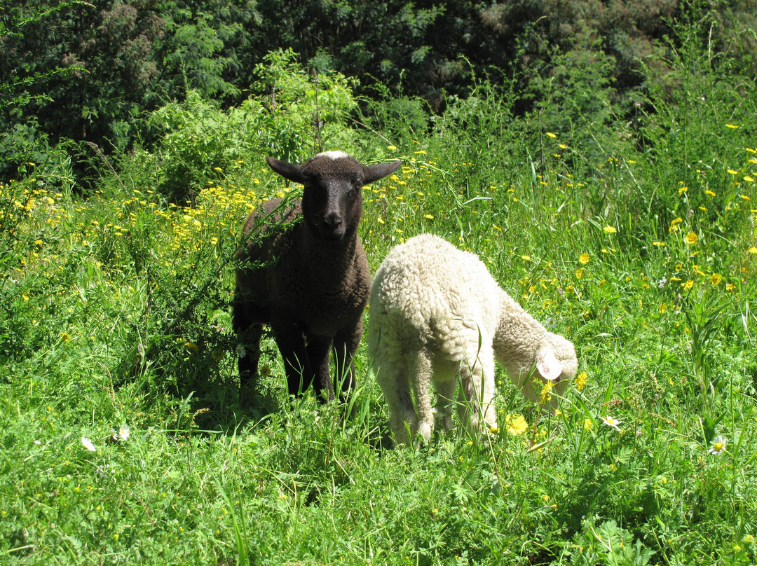 Quinta de Louredo-Marco de Canaveses必去景点