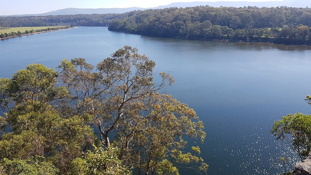 Shoalhaven River Cruise景点图片
